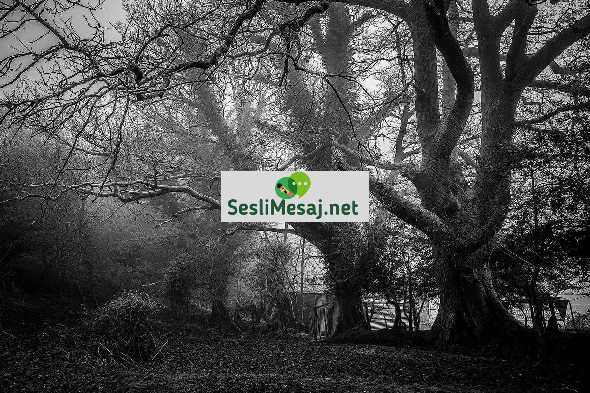 Aşk İlişkisinde Eleştiri Yönetimi Sohbeti: Yapıcı İletişim