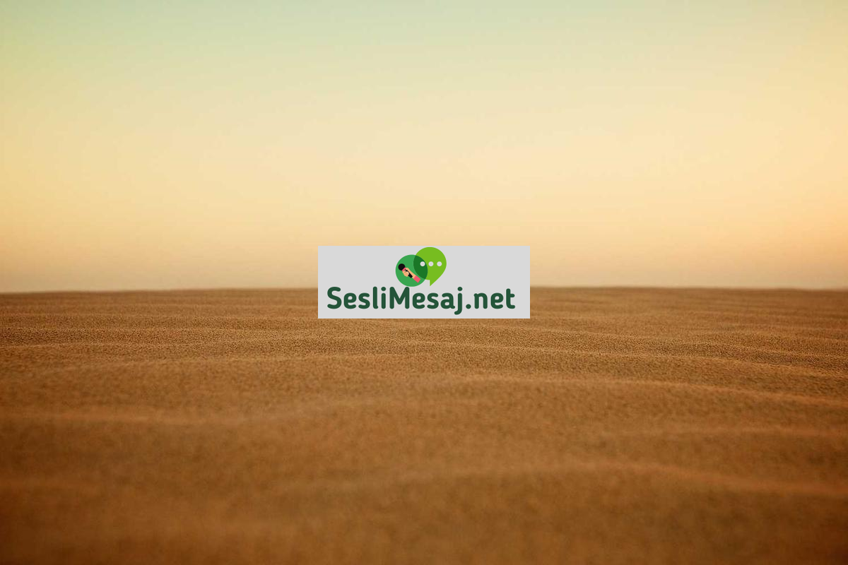 Akıllı Şehirler Sohbeti: Dijital Dönüşüm ve Yaşam Kalitesi