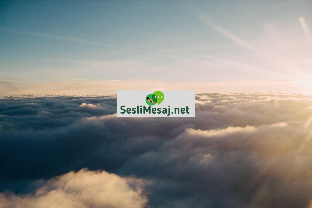 Aşk Sohbeti: Dijital Ortamda Romantik İlişkilerin Başlangıcı