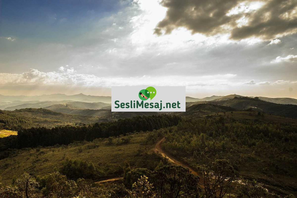 Anonim Arkadaş Chat: Gizli Dostluklar Kurma