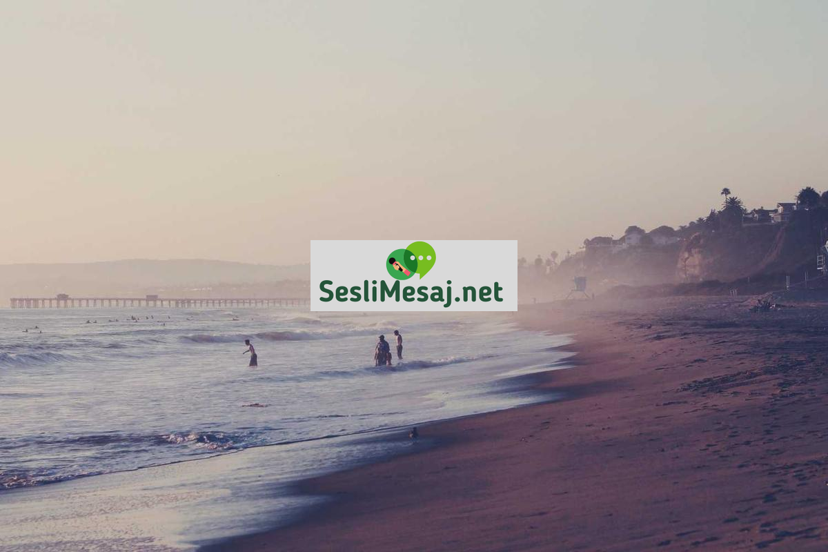 Antik Felsefeciler Sohbeti: Platon, Aristo ve Etkileri