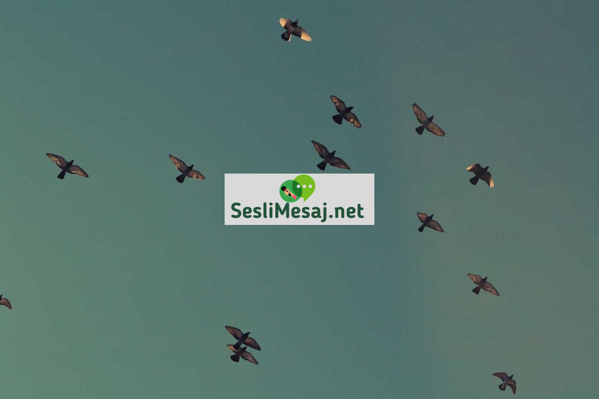 Arkeolojik Kazılar Sohbeti: Eski Medeniyetlerin İzleri