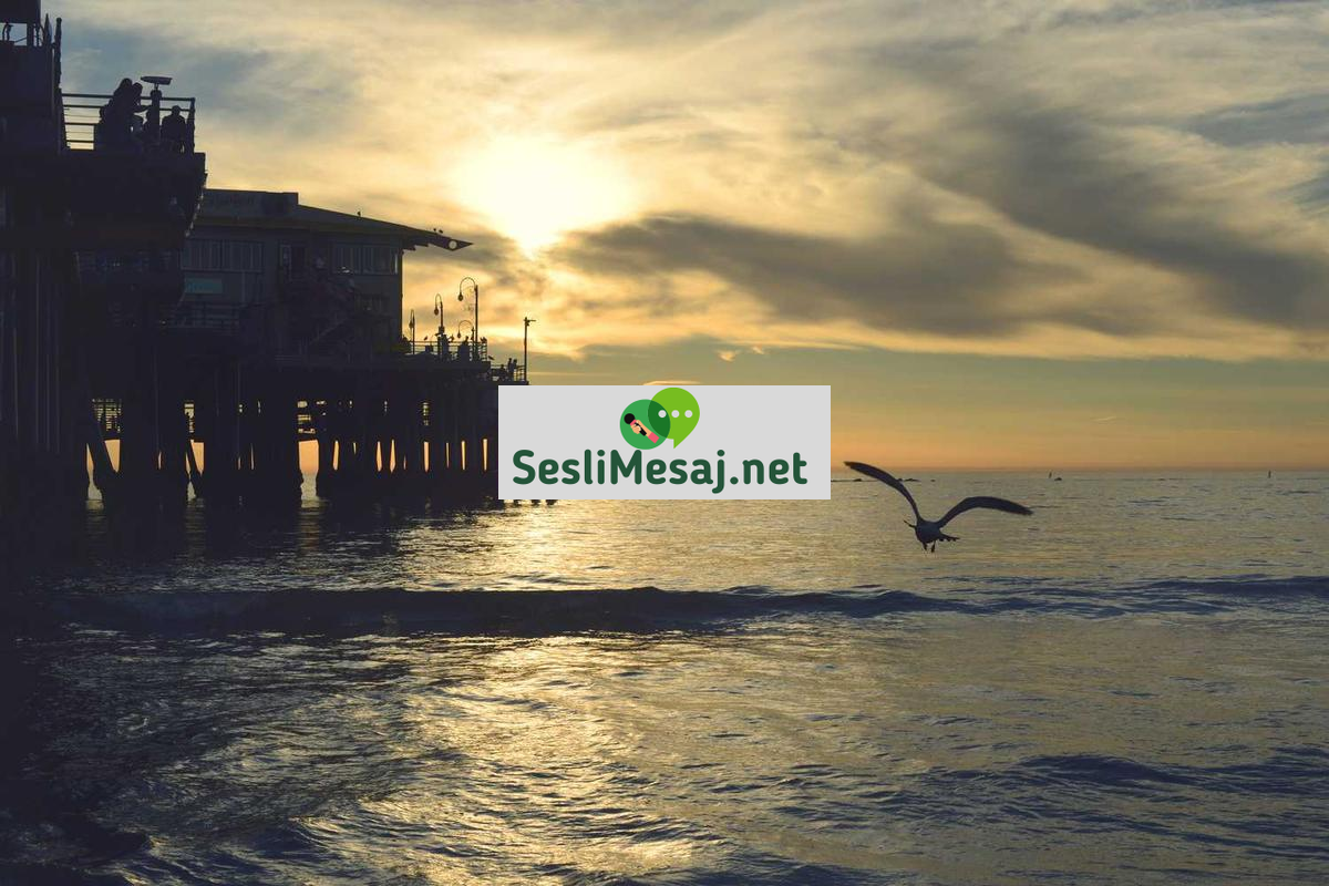 Astroloji ve Finansal Rehberlik Sohbeti: Yatırım