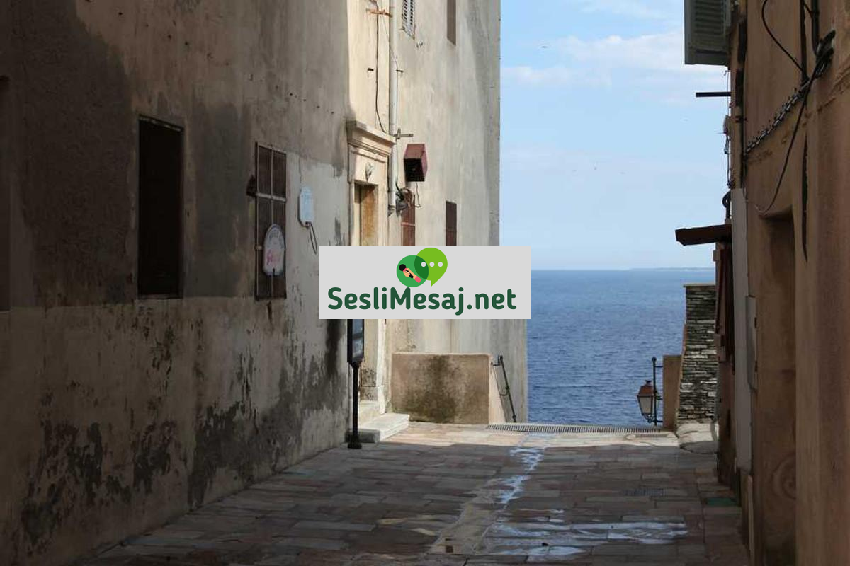 Astroloji ve Finansal Rehberlik Sohbeti: Yatırım