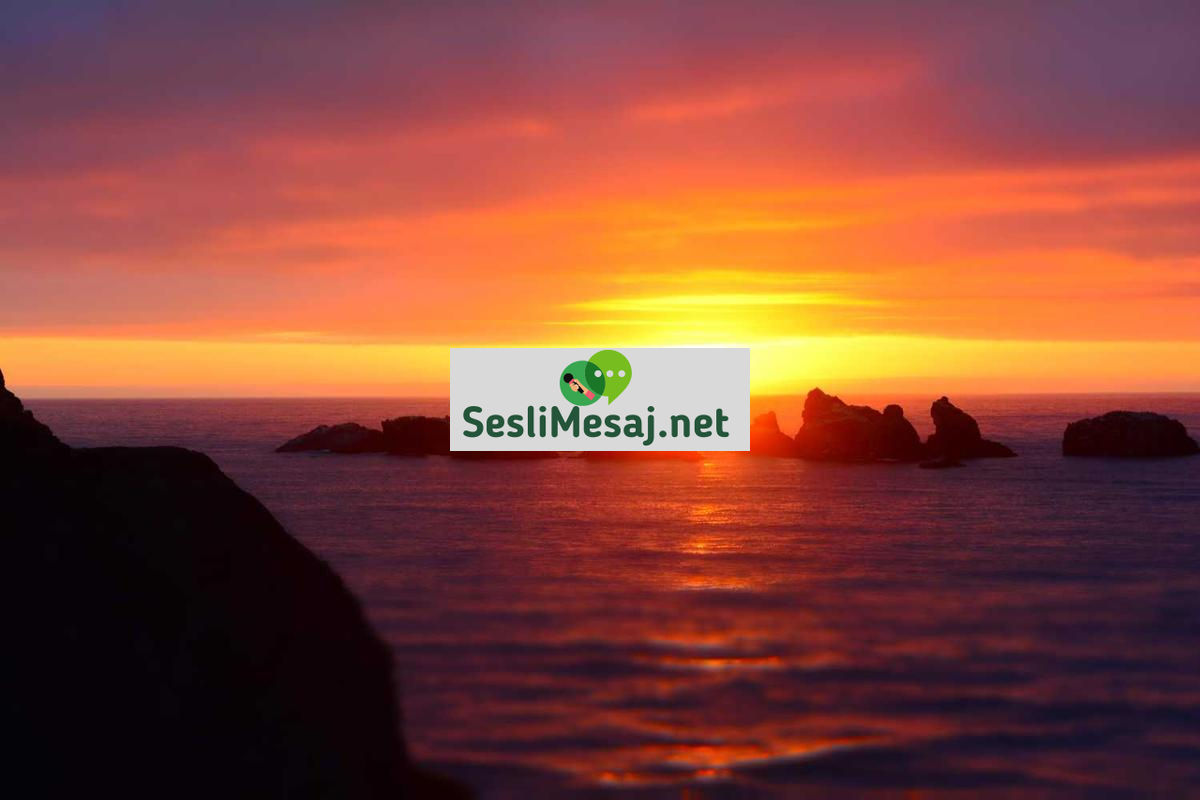 Astroloji ve Hayat Döngüleri Sohbeti: Gezegen Etkileri