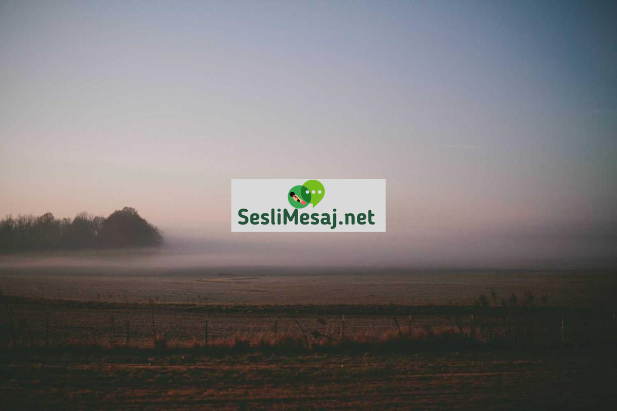 Aylık Sohbet: Ay Boyunca Yaşanan Gelişmeler