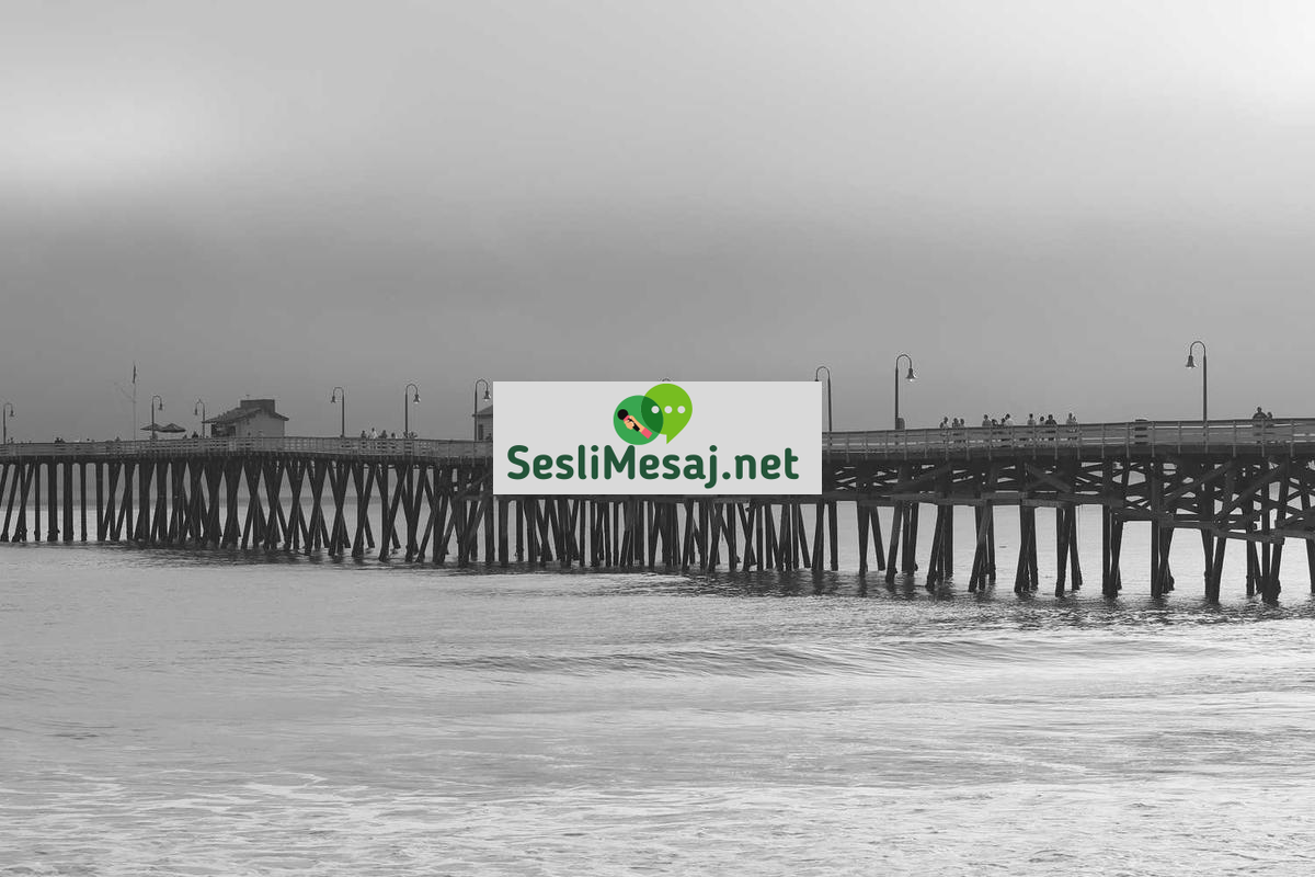 Banka Kredileri Sohbeti: Konut, İhtiyaç ve Taşıt Kredisi