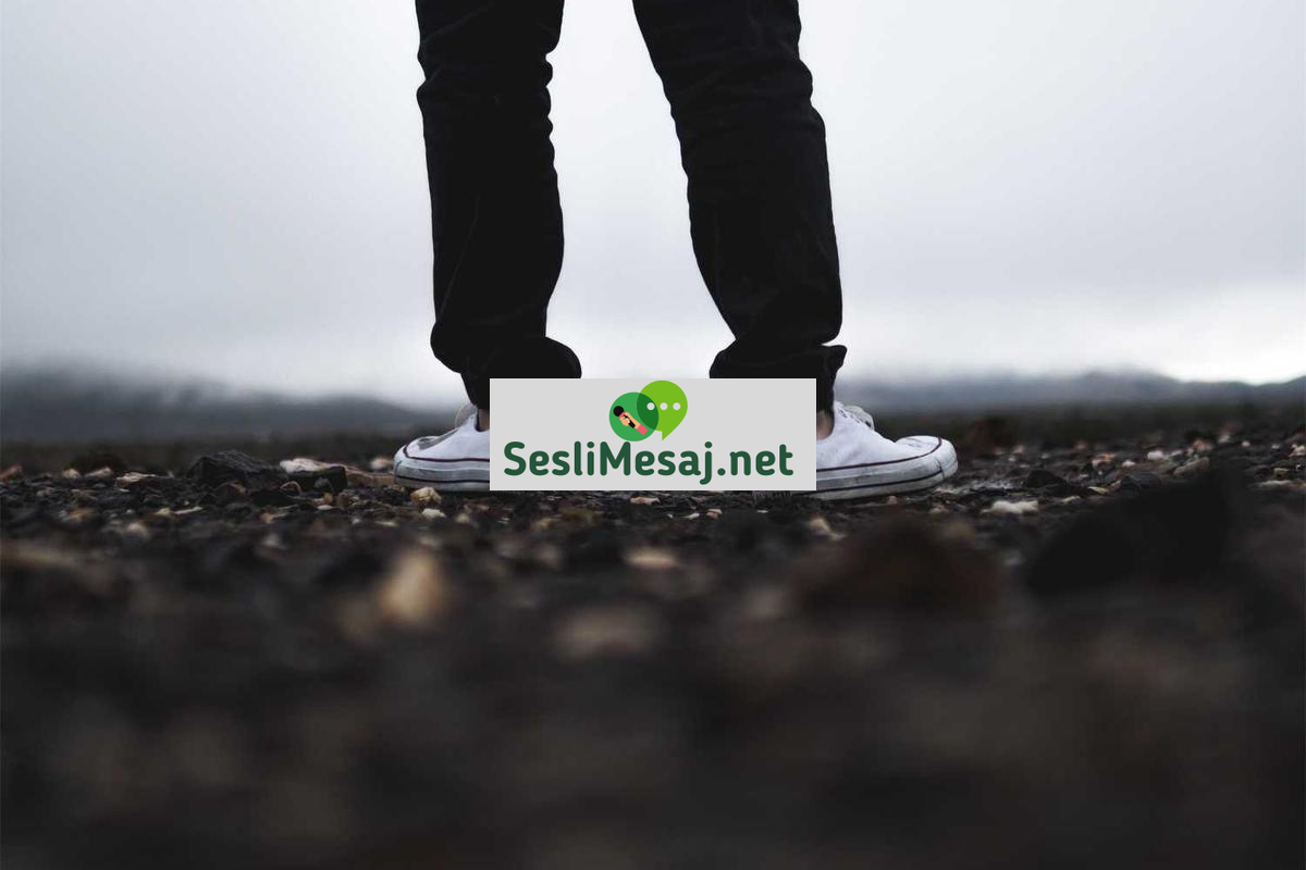 Bermuda Görüntülü Sohbet: Bermuda’nın Rastgele Bağlantıları