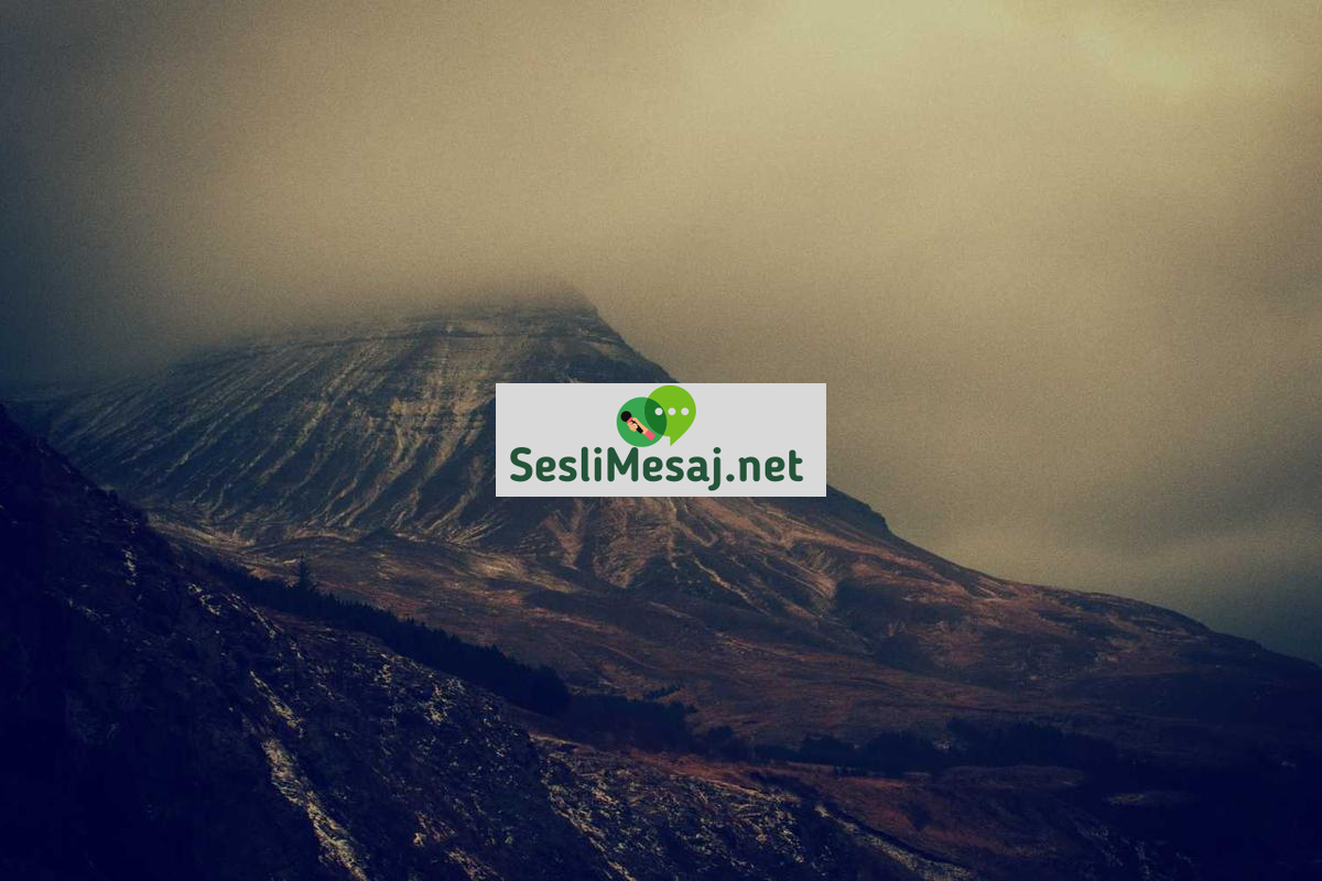 Canlı Yayın Gelir Optimizasyonu Sohbeti: Reklam ve Bağışlar