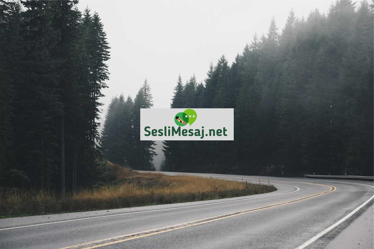 Canlı Yayın Gelir Optimizasyonu Sohbeti: Reklam ve Bağışlar