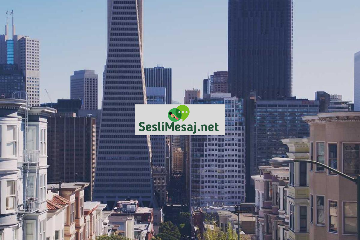 Chat Rehber Yazıları: Platform Kullanım Kılavuzları