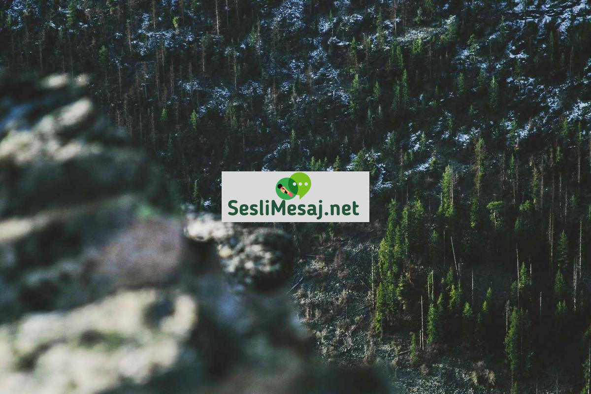 Chat Uygulamaları: En Popüler İletişim Araçları