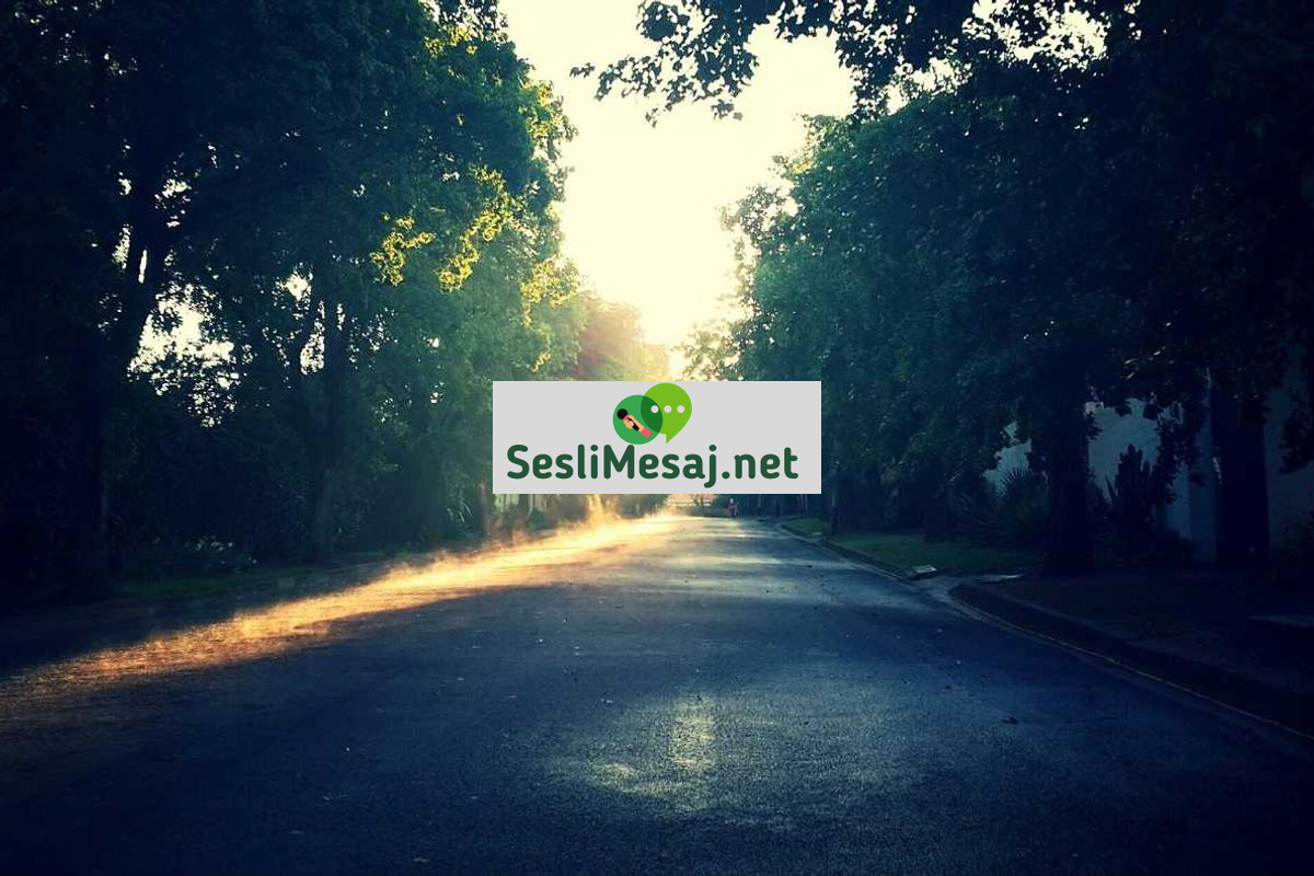 Cloud Teknolojileri Sohbeti: AWS, Azure ve Google Cloud