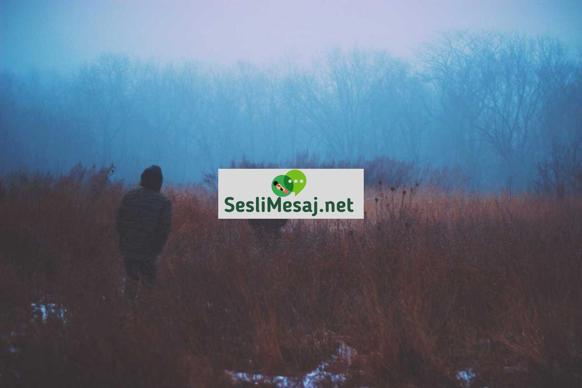 Dertleşme Sohbeti: Duygusal Destek Bulmanın Çevrimiçi Yolları