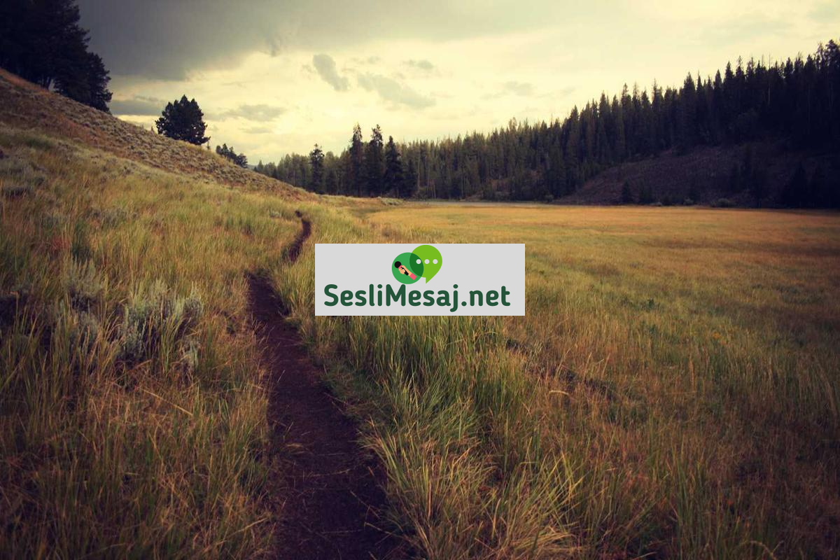 Dijital Pazarlamada Etik Reklamcılık Sohbeti: Sorumluluk