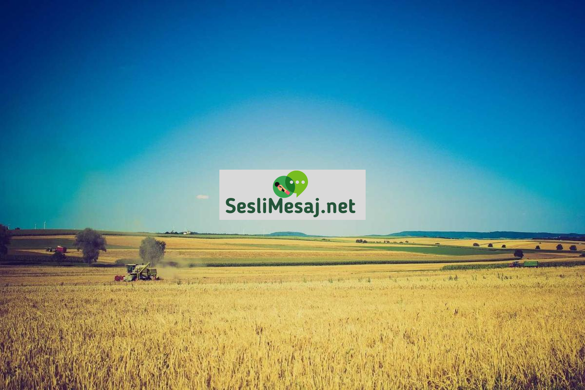 Dijital Pazarlamada Etik Reklamcılık Sohbeti: Sorumluluk