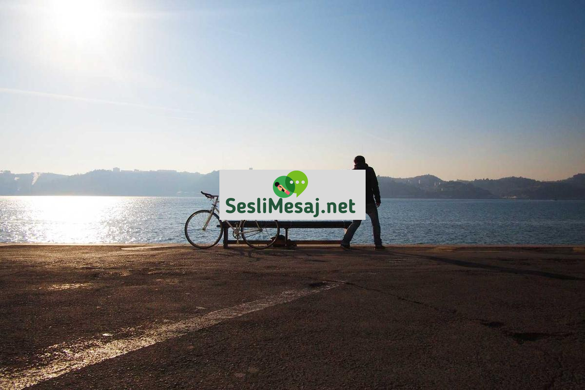 Dijital Vatandaşlık Sohbeti: İnternetteki Hak ve Sorumluluklar