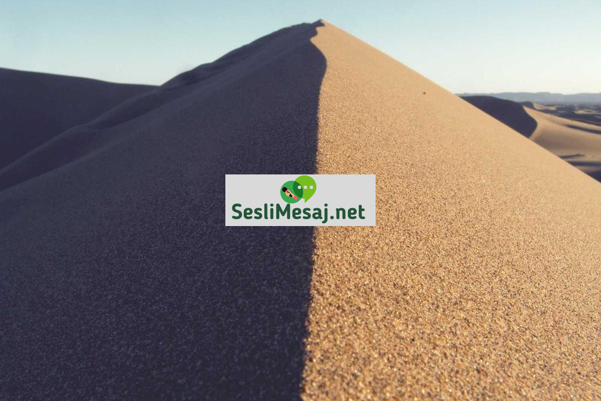 Dil Öğrenmede En İyi Uygulamalar Sohbeti: Mobil ve Web