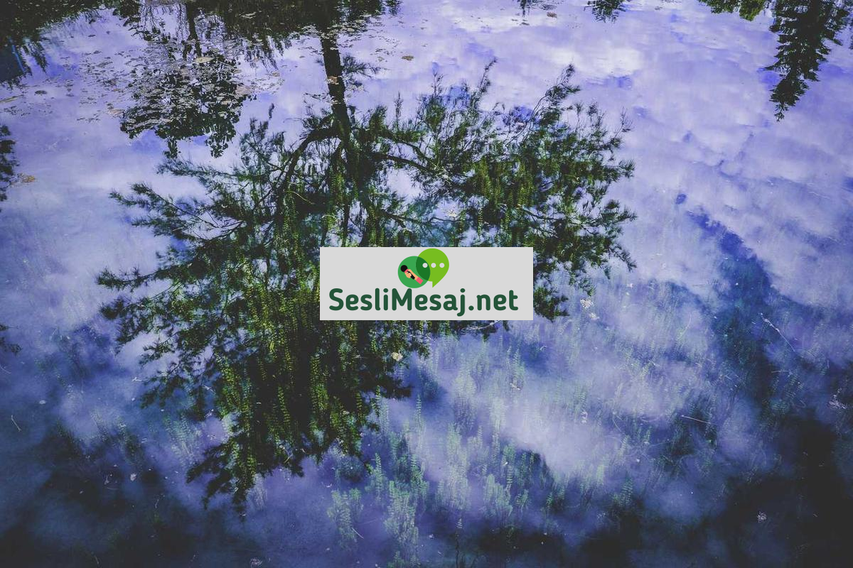 Dini Semboller Sohbeti: Farklı Dinlerdeki Anlamlar