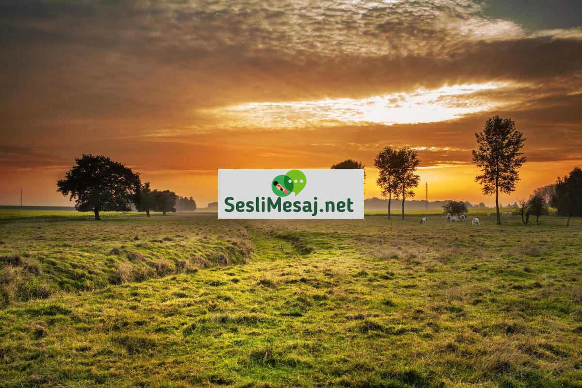 Dini Sohbet: İnanç ve Maneviyat Üzerine Saygılı İletişim