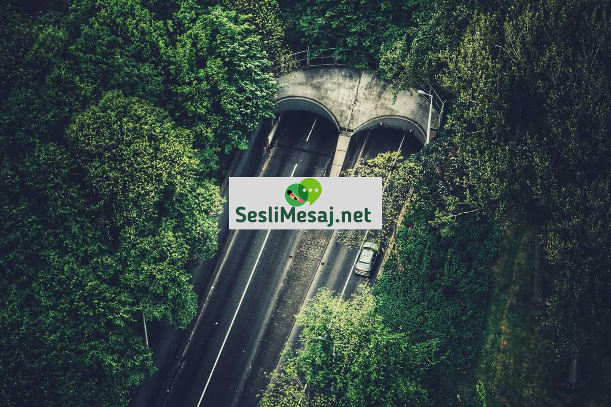 Din ve Ahlak İlişkisi Sohbeti: Etik