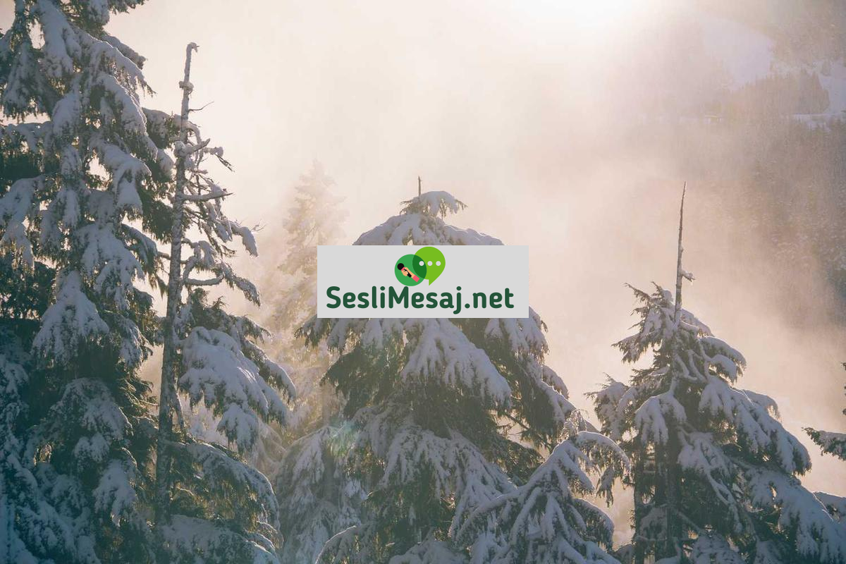 Duygusal Zeka ve Sosyal İlişkiler Sohbeti: Bağ