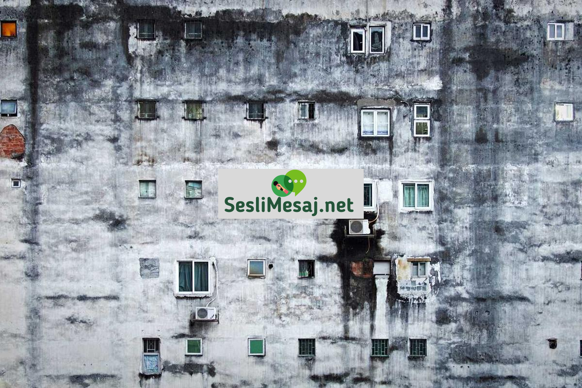 Ebeveynlikte Çocukların Eğitim Masrafları Sohbeti: Planlama