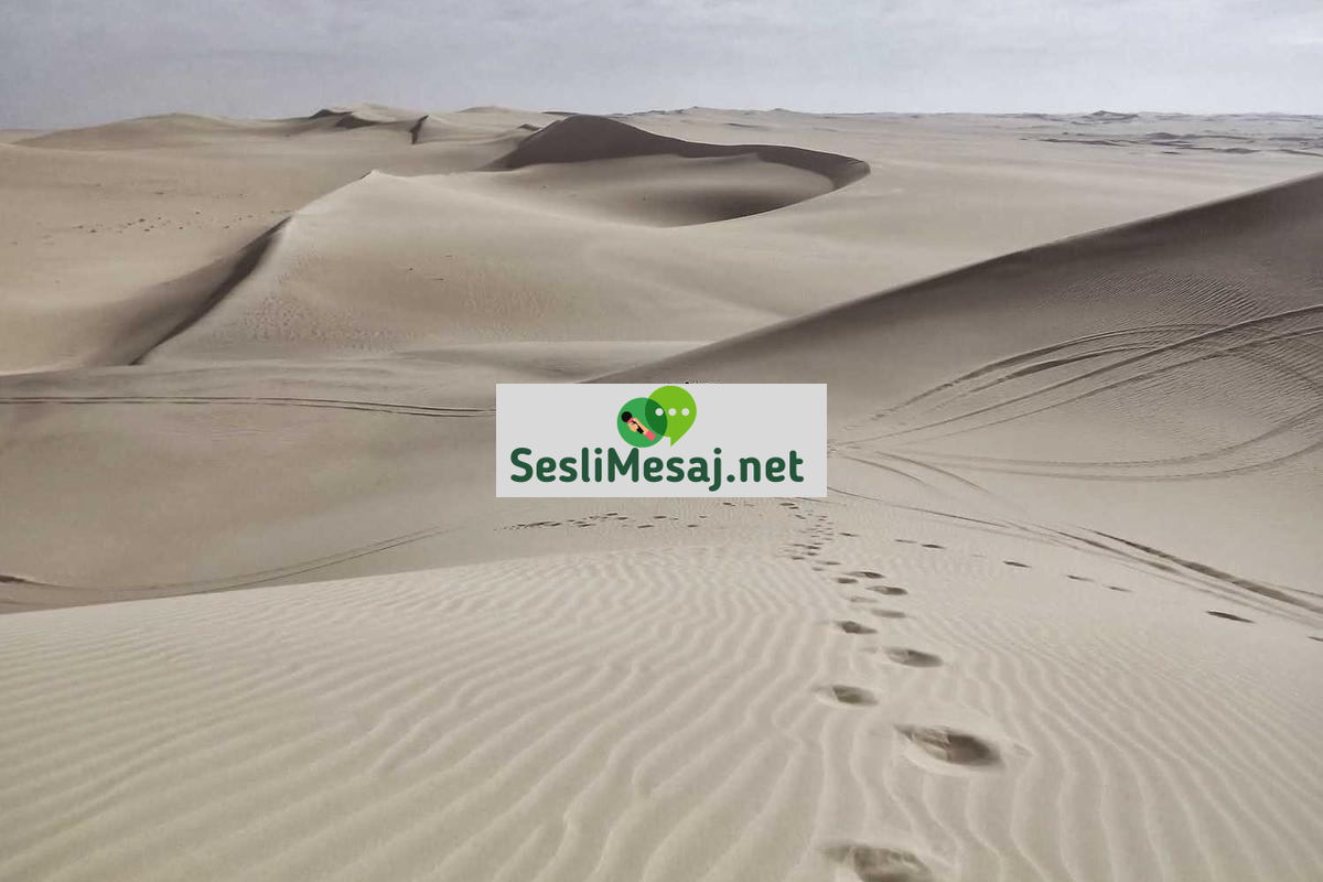 Edebiyat Eleştirisi Sohbeti: Kitapları Derinlemesine Anlama