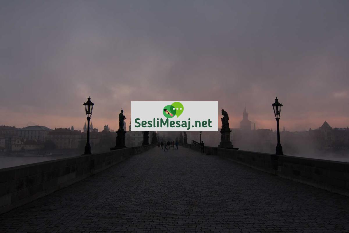 Edebiyatın Toplumsal Eleştiri Rolü Sohbeti: Roman