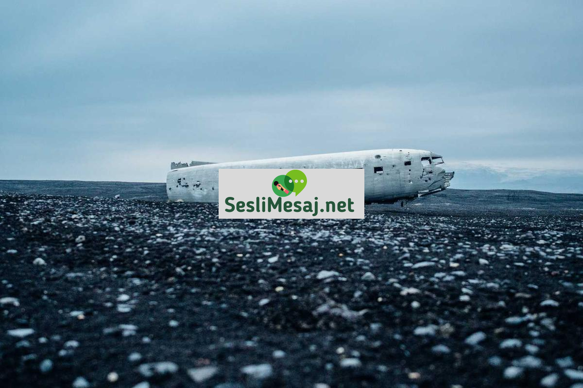 Engellilere Sohbet: Engellilerin Sosyal İletişimi