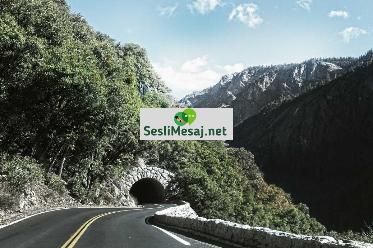 Etik Hacker Sertifikaları Sohbeti: Eğitim ve Sınavlar