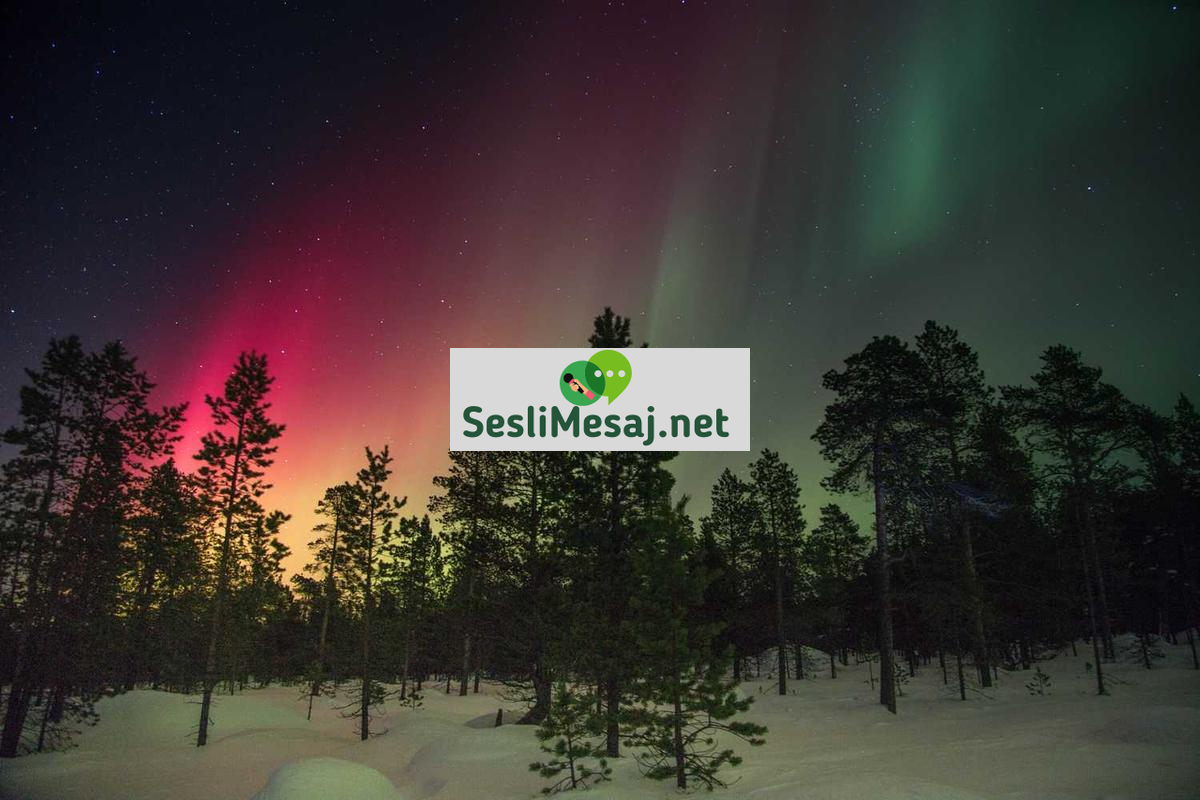 Felsefe Sohbeti: Hayatın Anlamı ve Düşünsel Tartışmalar