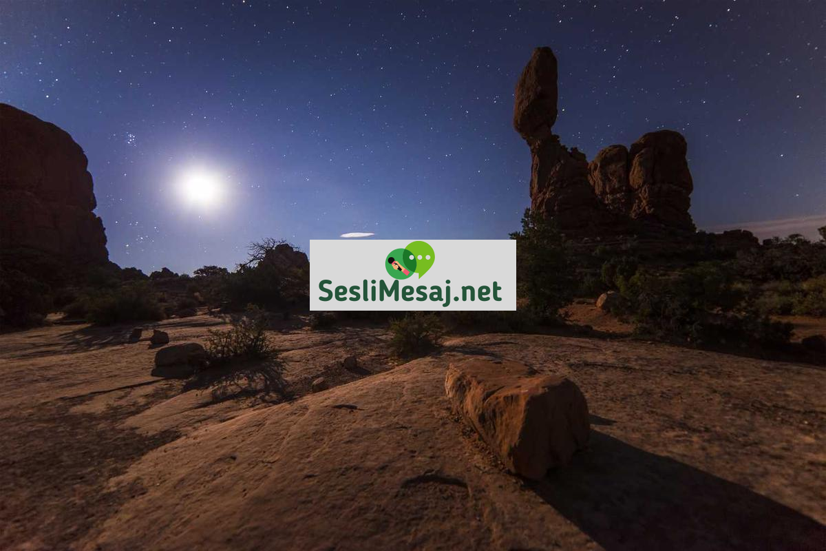 Felsefi Tartışma Grupları Sohbeti: Derin Düşünce