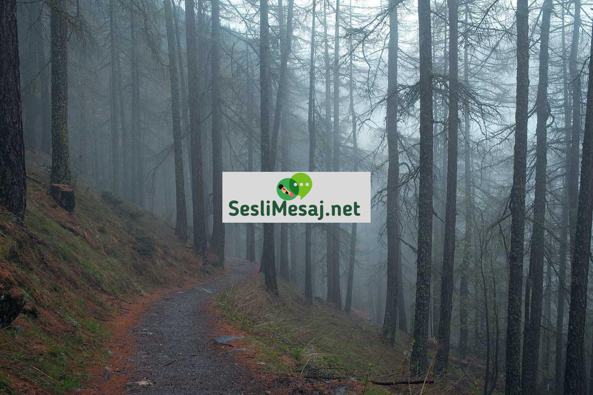 Felsefi Tartışmalarda Bilgi Teorisi Sohbeti: Hakikat