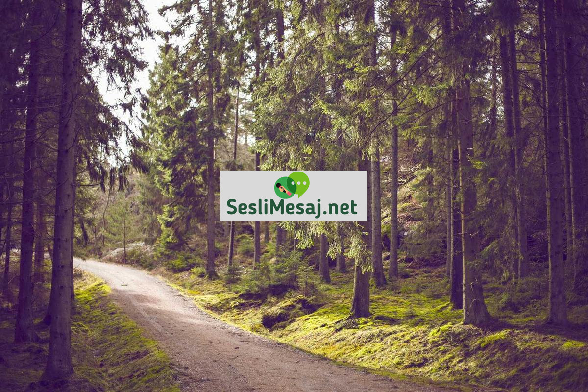 Felsefi Tartışmalarda Bilgi Teorisi Sohbeti: Hakikat