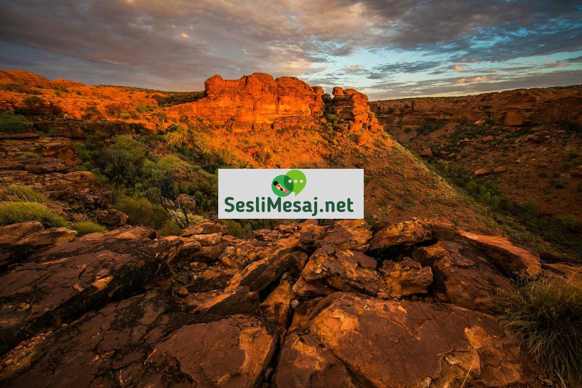 Finansal Hedeflere Ulaşma Sohbeti: Adım Adım Plan