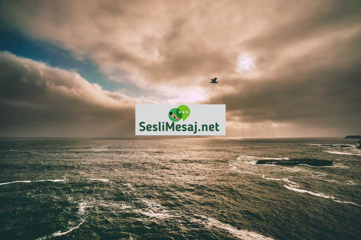 Finansal Özgürlük ve Yatırım Fonları Sohbeti: Pasif Gelir