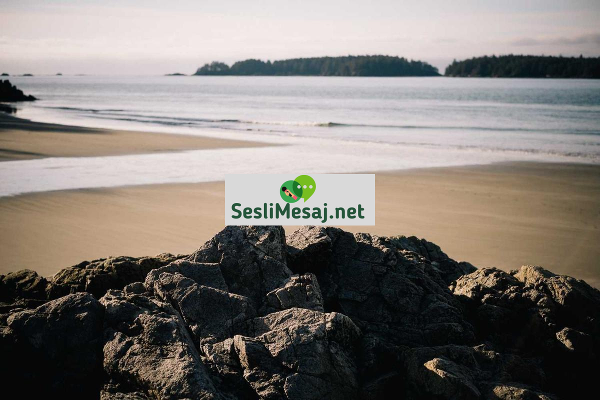 Gıda Güvenliği Sohbeti: Dünya Gıda Tedarik Zinciri