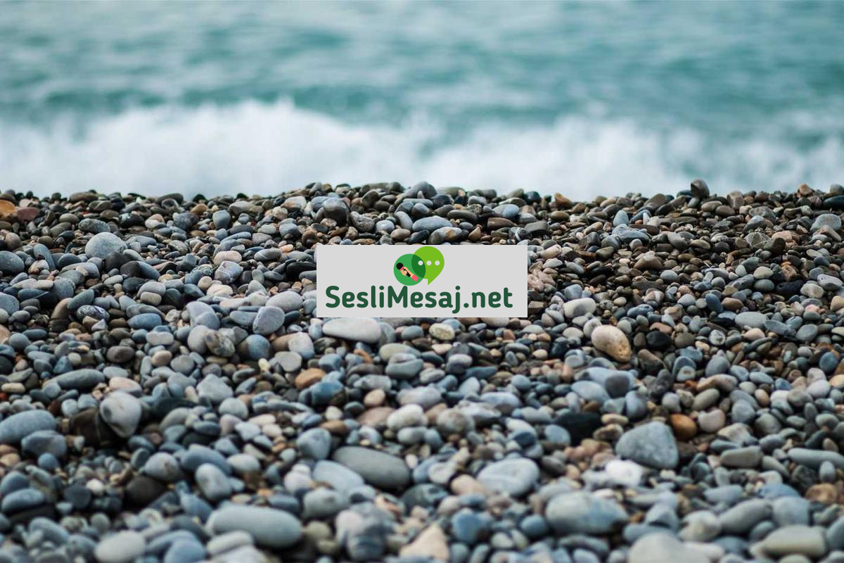 Girişimcilikte İş Fikri Geliştirme Sohbeti: Yaratıcılık