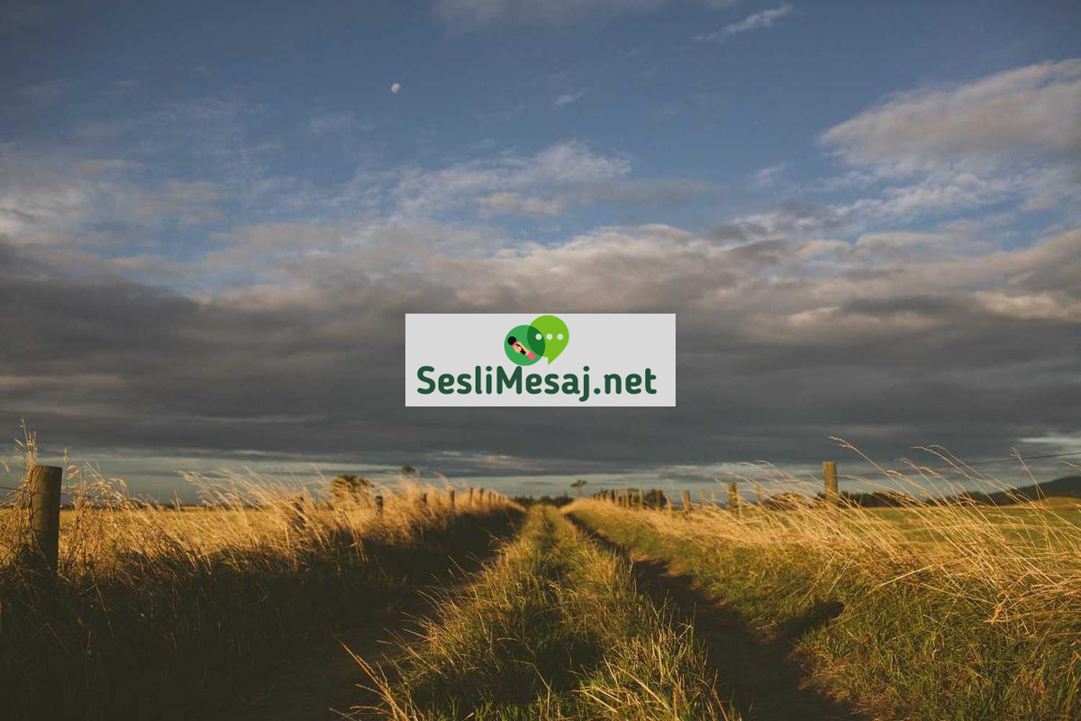 Girişimcilikte İş Planı Geliştirme Sohbeti: Strateji