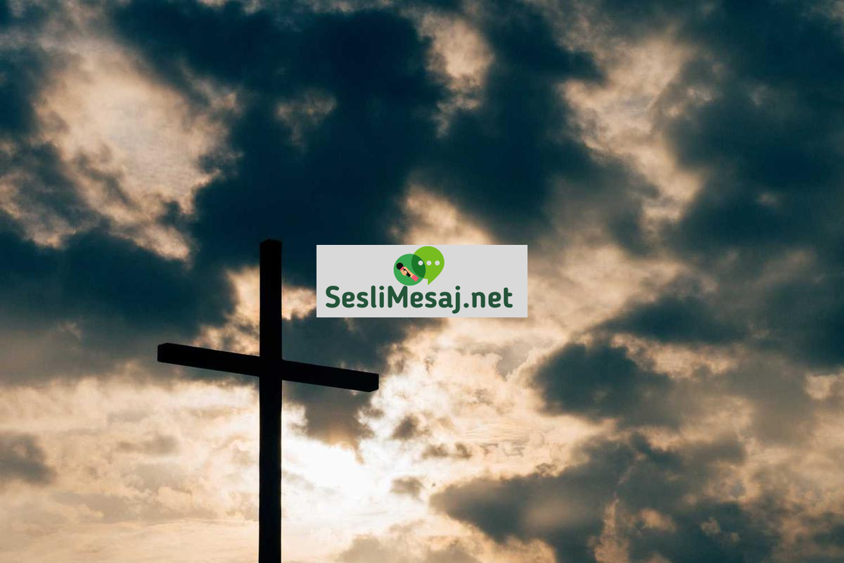 Girişimcilikte İş Planı Geliştirme Sohbeti: Strateji