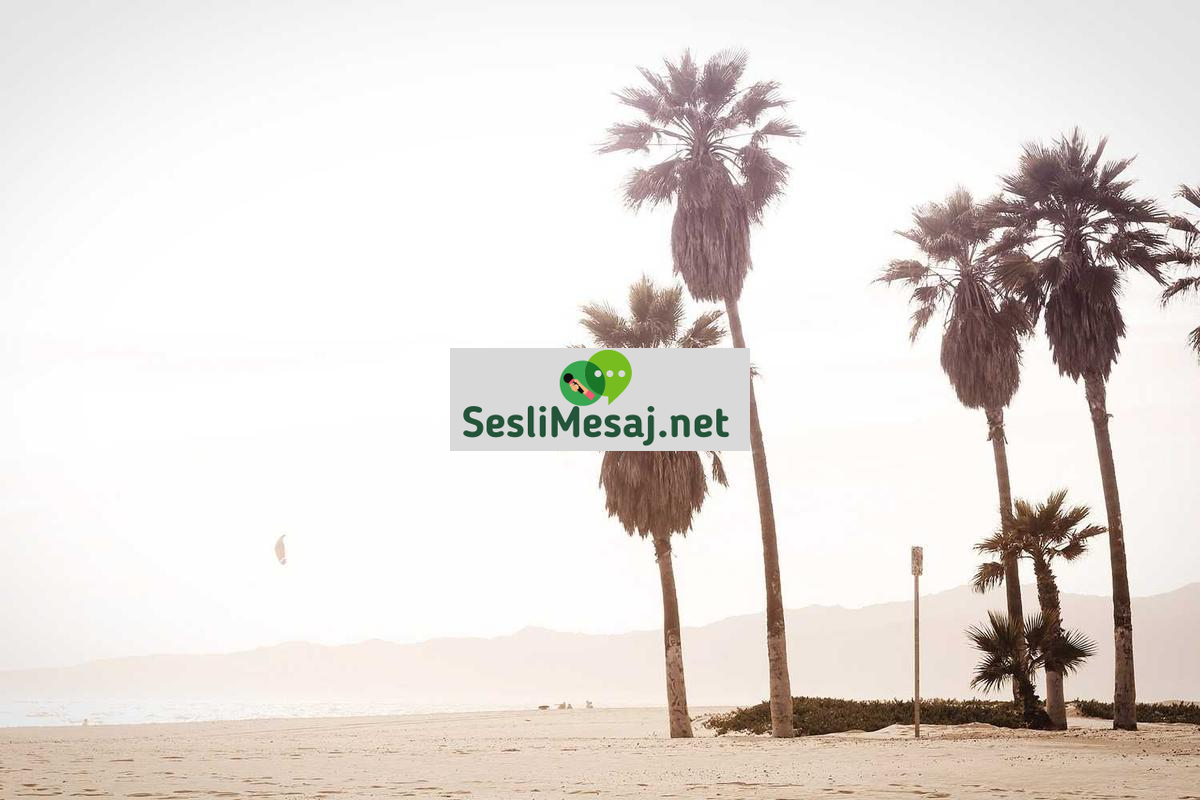 Güneş Sistemi Keşfi Sohbeti: Yeni Gezegen ve Uydular