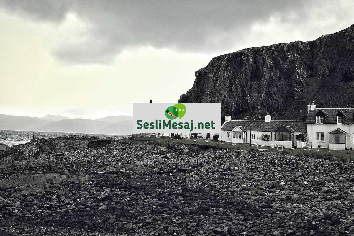 Google Meet Video Chat: Google Meet ile Görüntülü Bağlantı