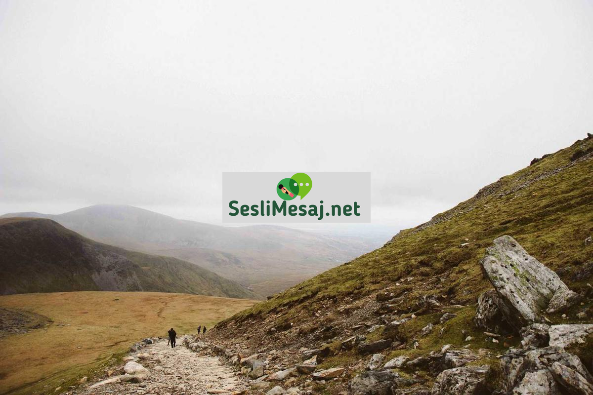 İş Hukuku Temelleri Sohbeti: Çalışma Saatleri ve İzinler