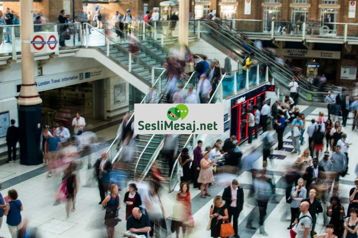 Kamp Arkadaş Chat: Kamp Yapma Arkadaşı Bulma