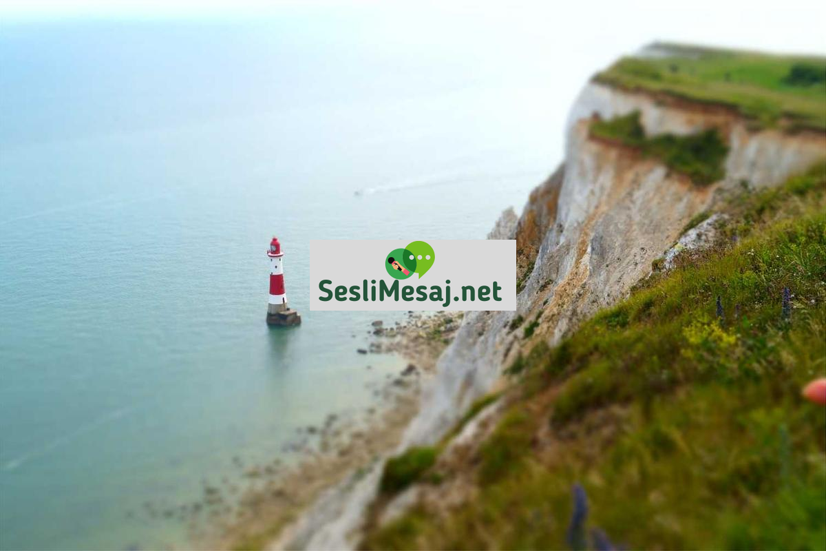 Kişisel Gelişimde Başarı İçin Alışkanlıklar Sohbeti: Rutin