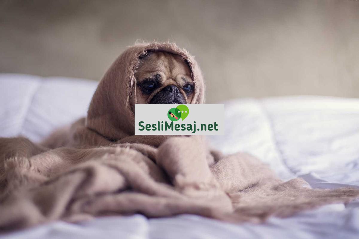 Kişisel Gelişimde Başarı İçin Alışkanlıklar Sohbeti: Rutin