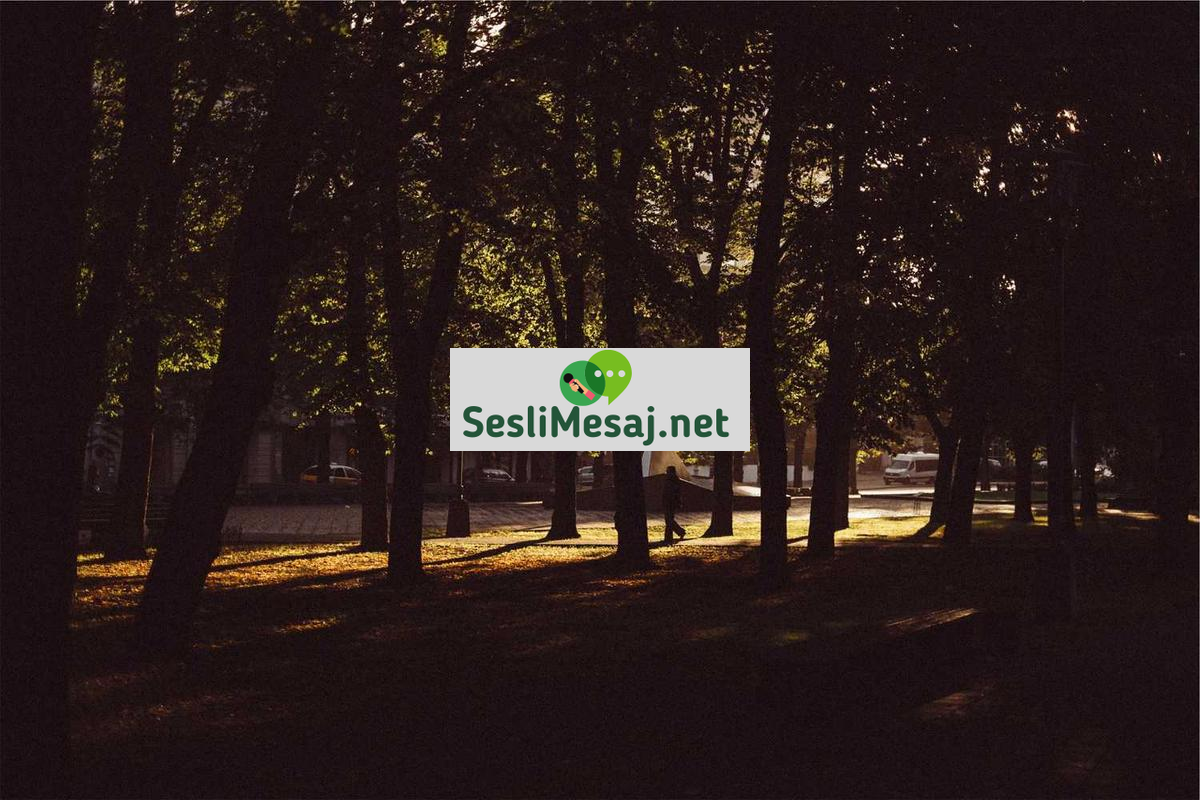 Kişisel Gelişimde Başarı İçin Motivasyon Sohbeti: Devamlılık