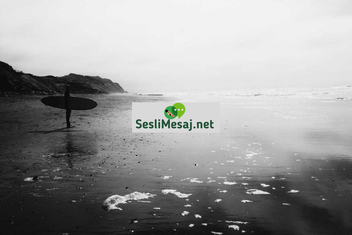 Kira Geliri Hesaplama Sohbeti: Yatırım Getirisi