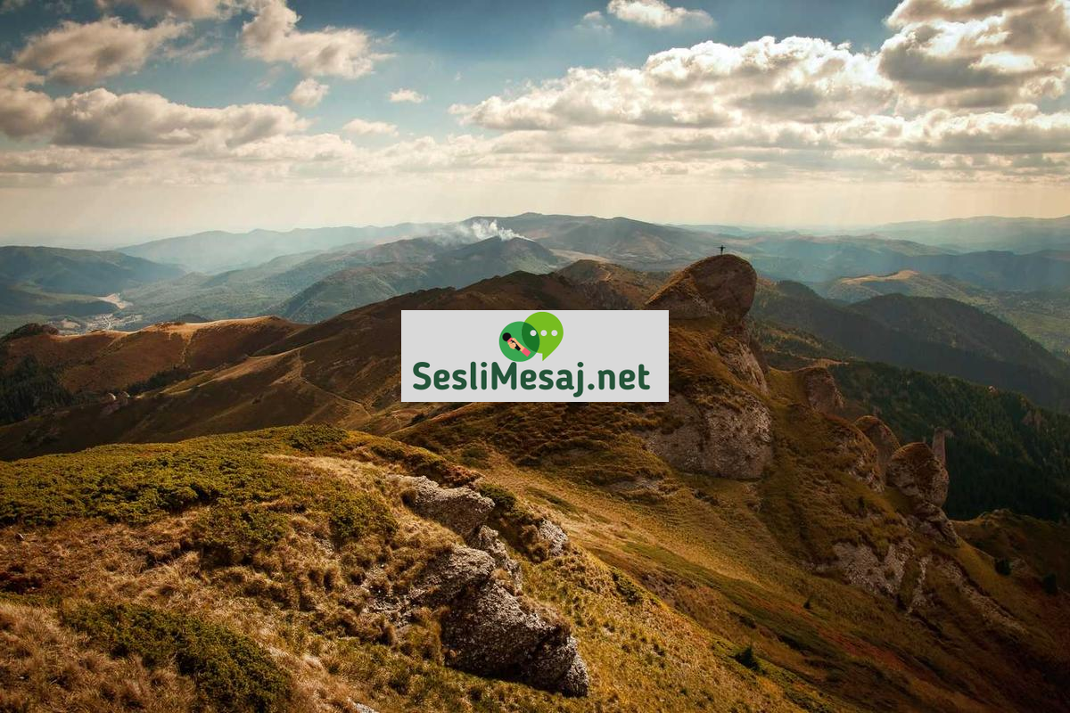 Kiralık Araba İpuçları Sohbeti: Ekonomik ve Güvenli